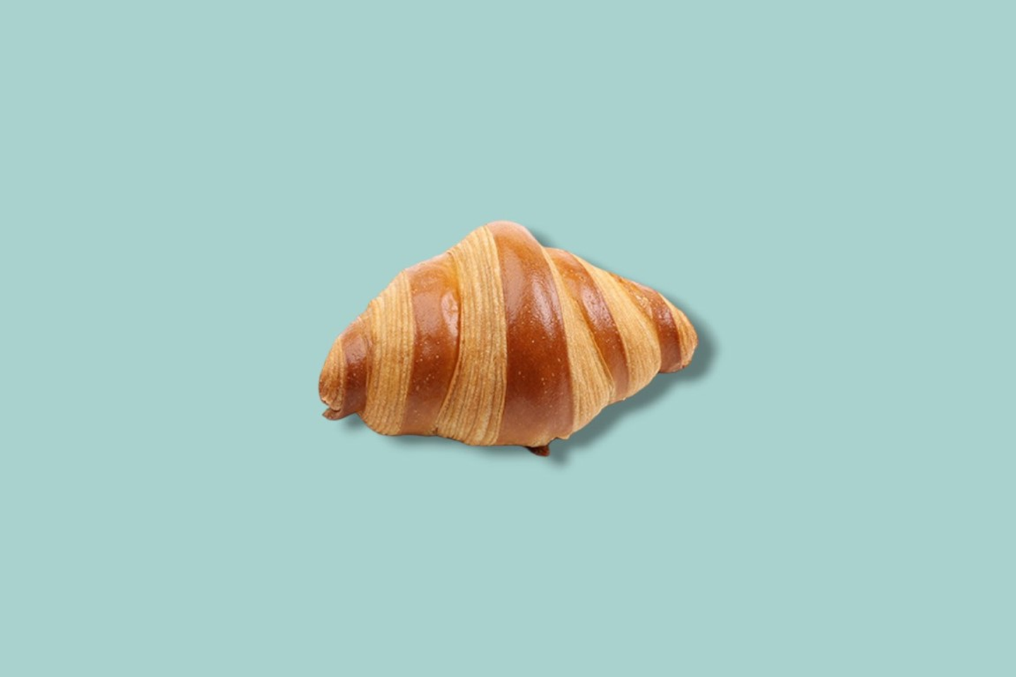 Plain Croissant