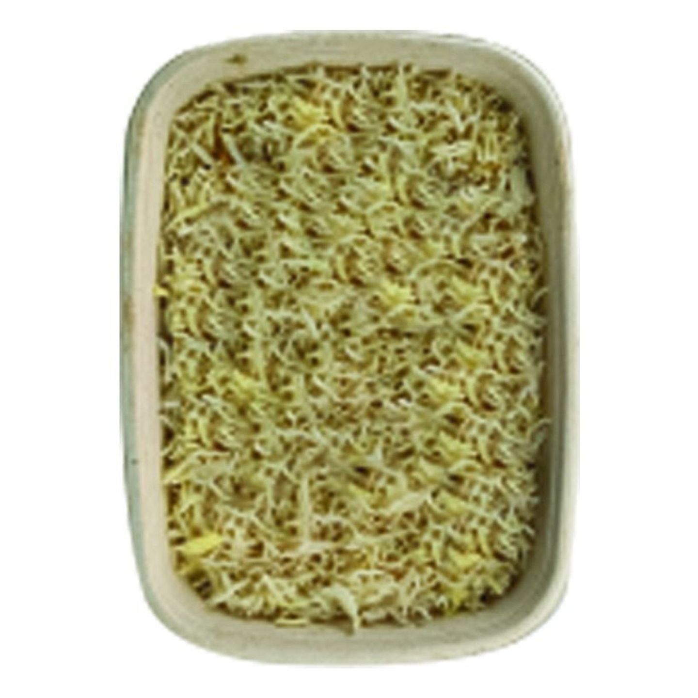 ارز سادة