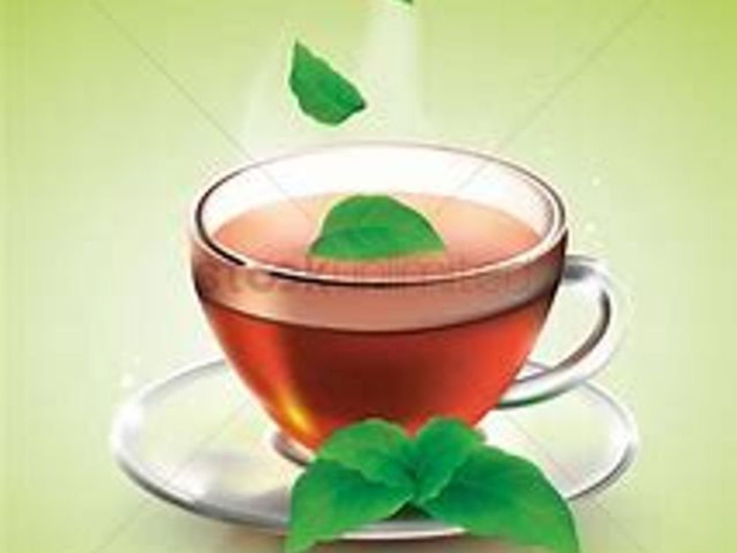 Tea With Mint