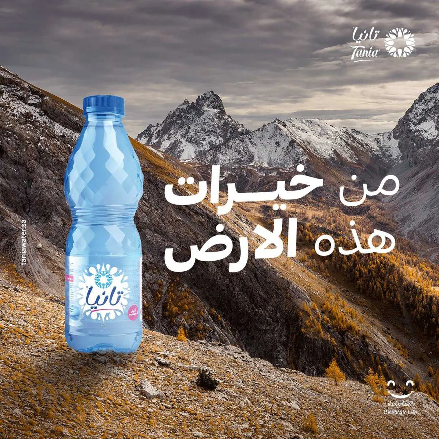 فطيرة نوتيلا