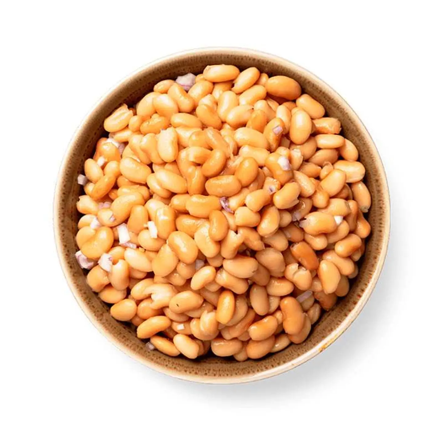 Organic Pinto Beans