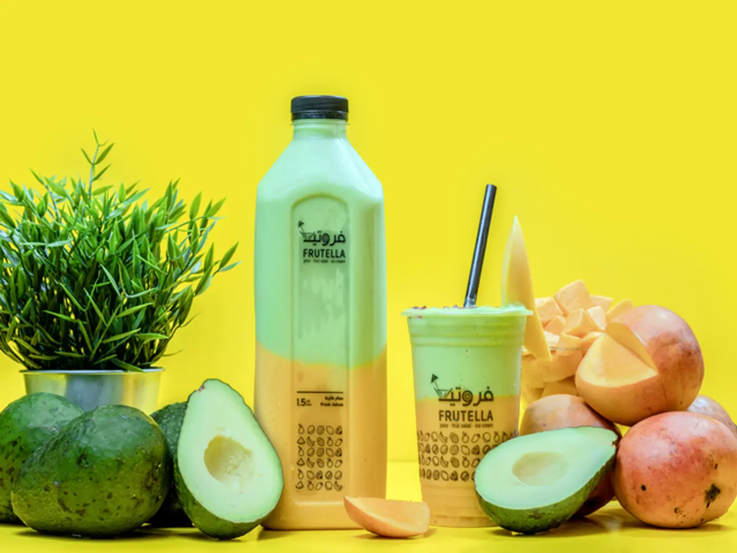 Avocado And Mango Large