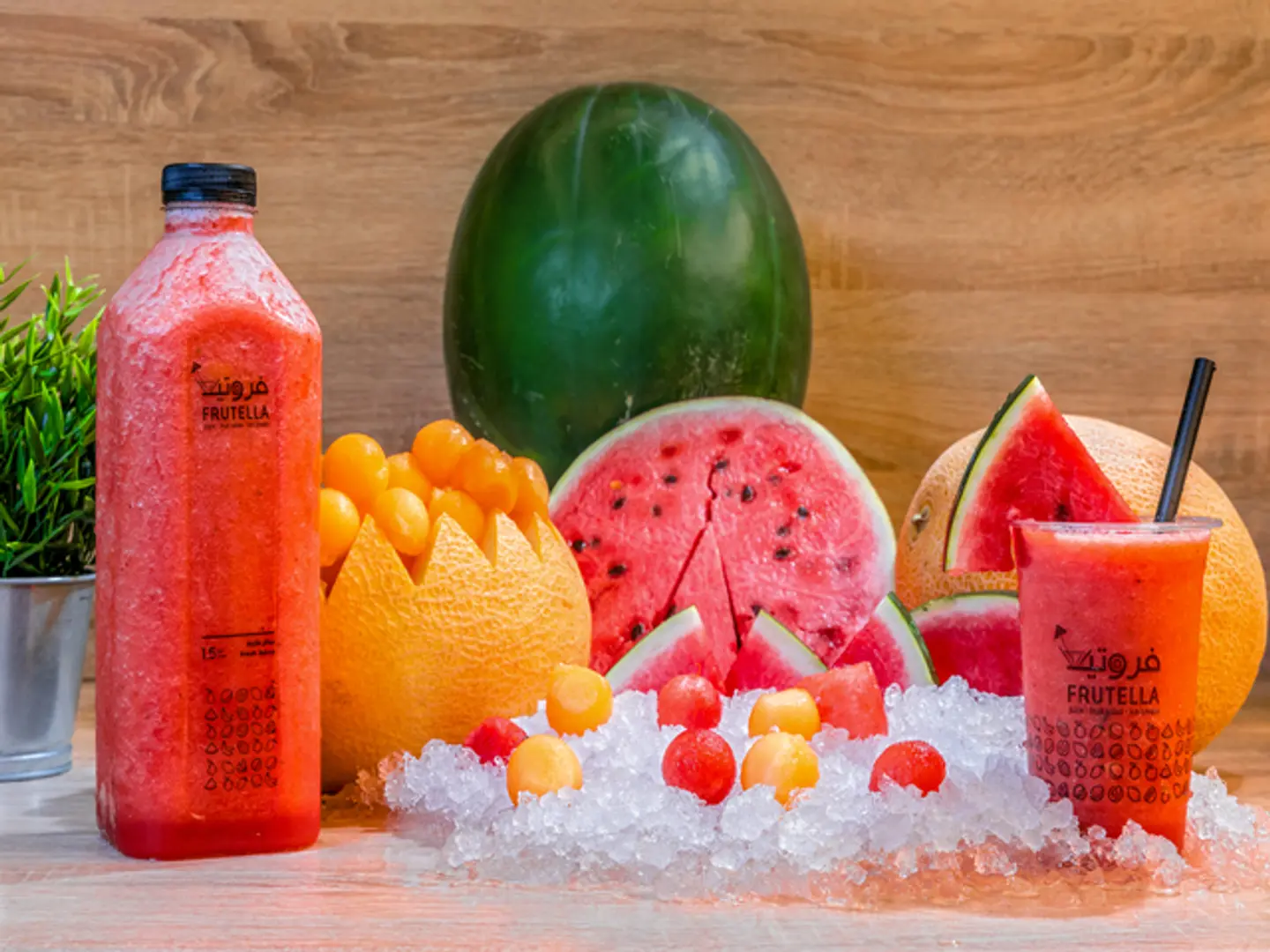 Melon And Watermelon Medium