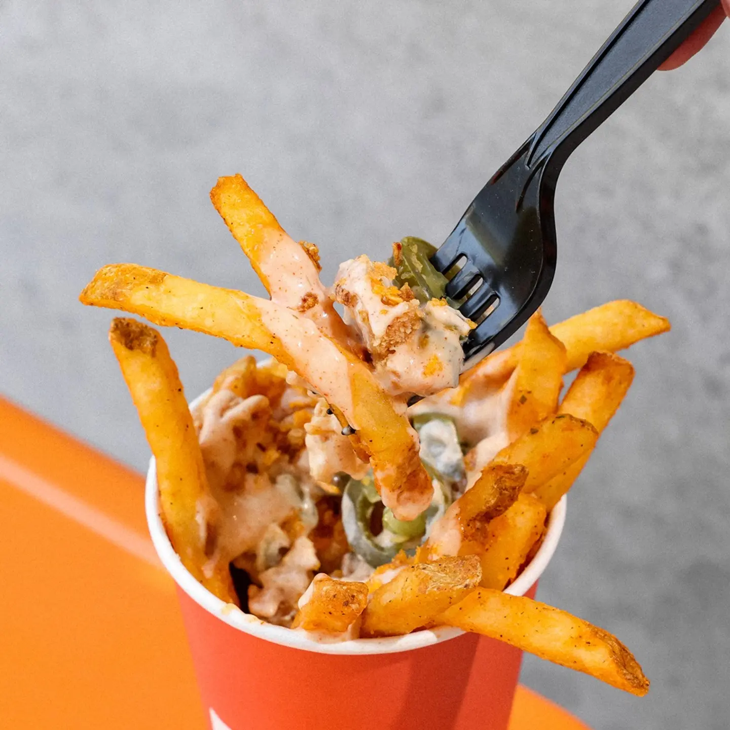 Flp Fries