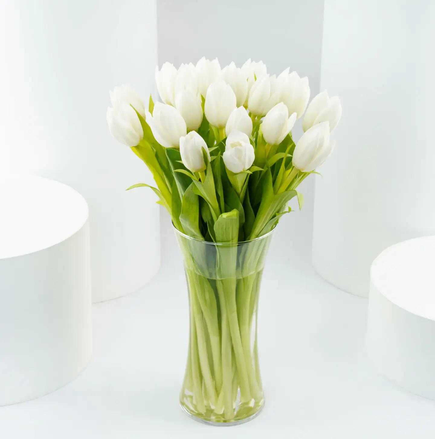 20 White Tulips