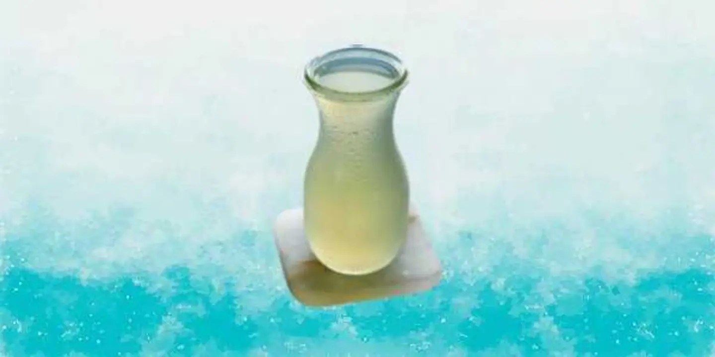 Fresh Lemonade Juice