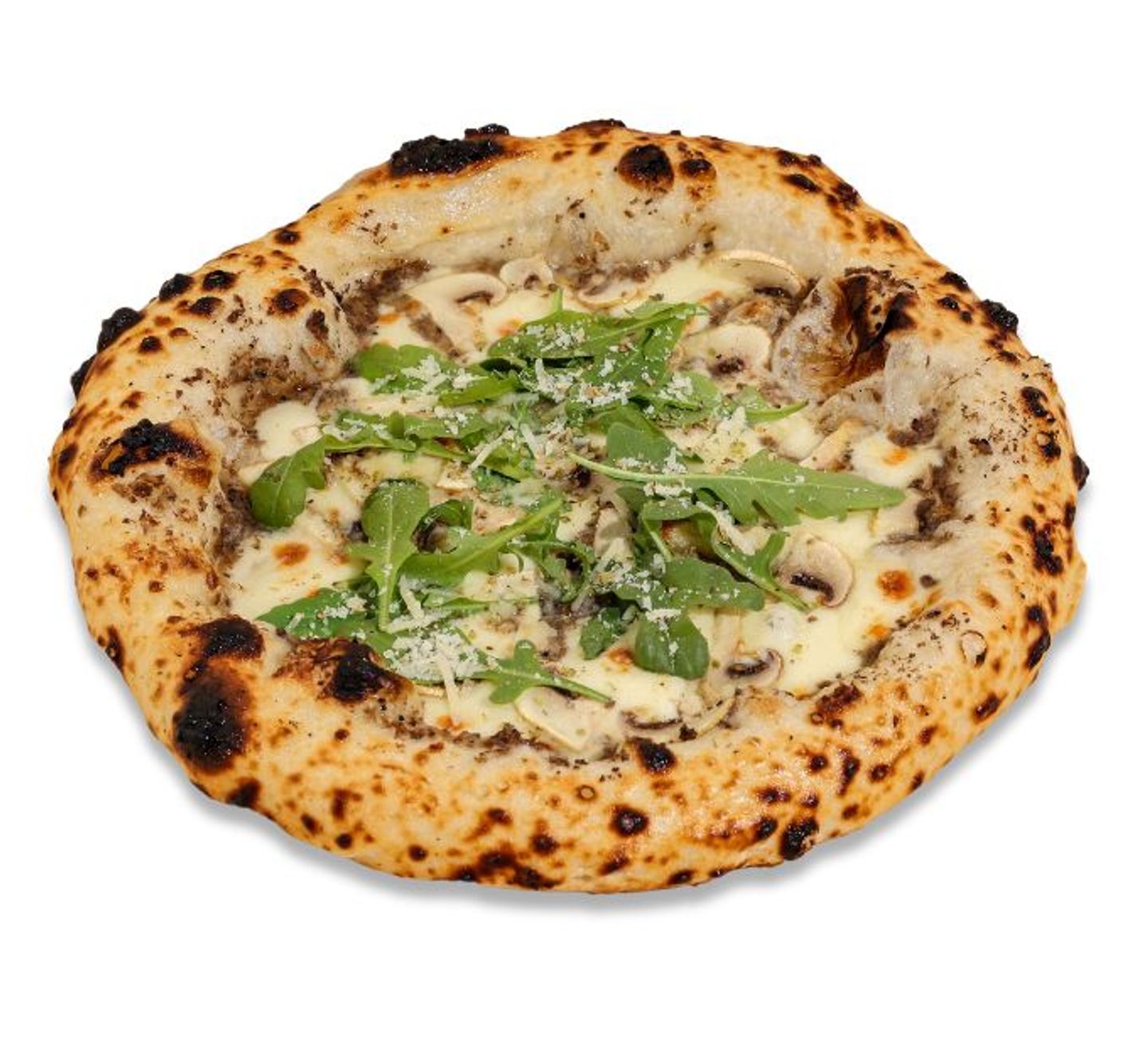 Truffle Pizza (Medium)