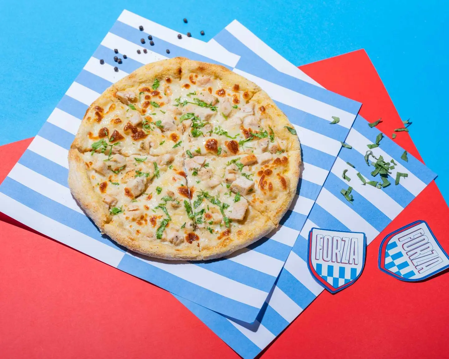 Alfredo Di Pollo Pizza Large