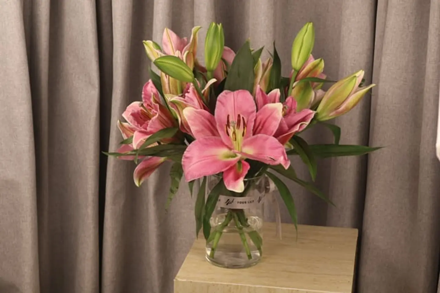 كازبلانكا وردي