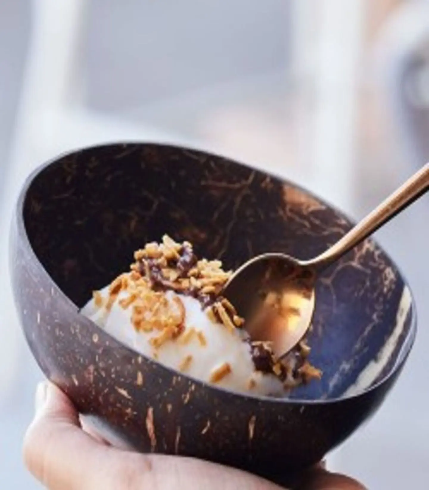 Coconut Chocoaate Ice Cream
