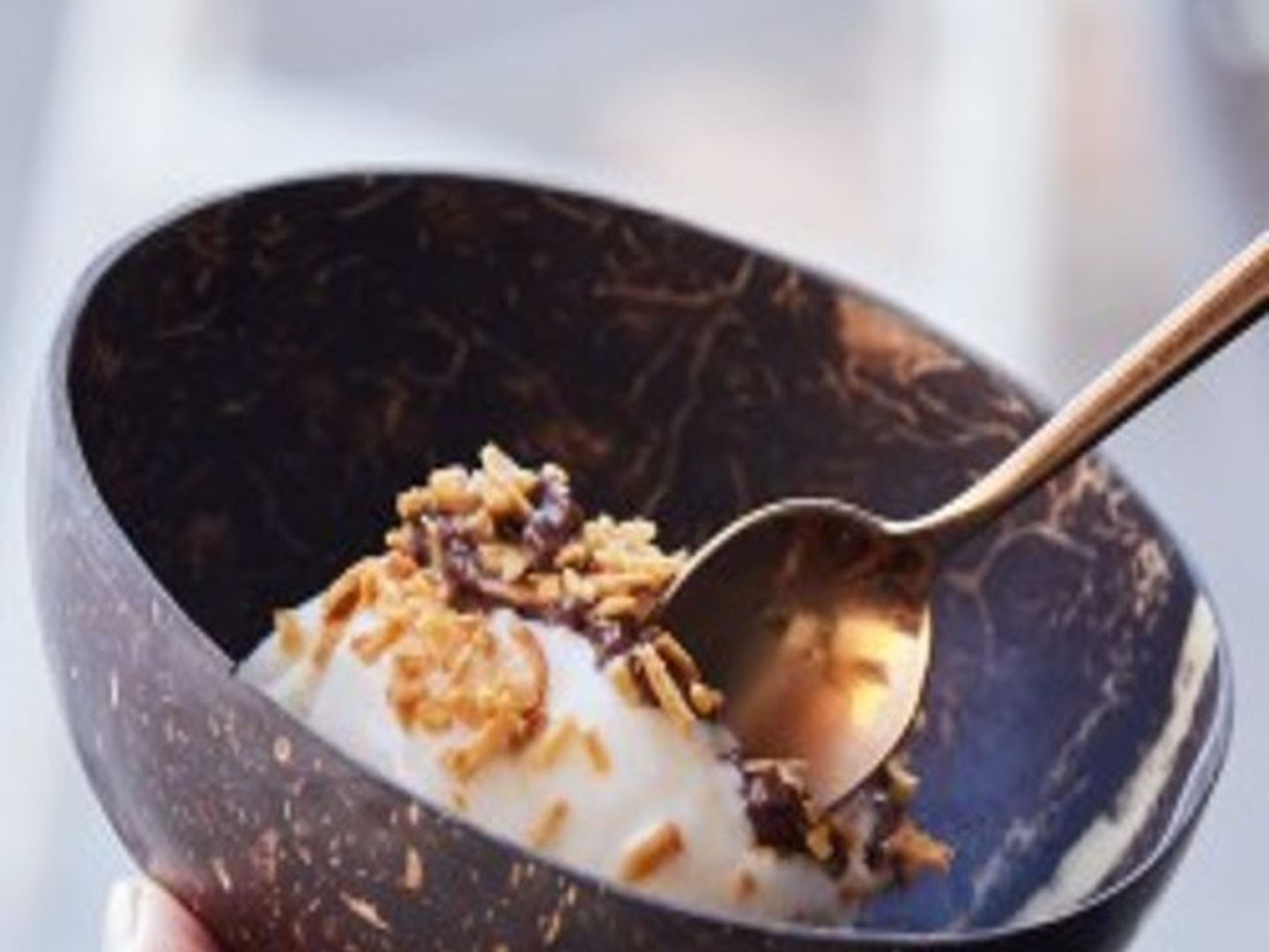 Coconut Chocoaate Ice Cream