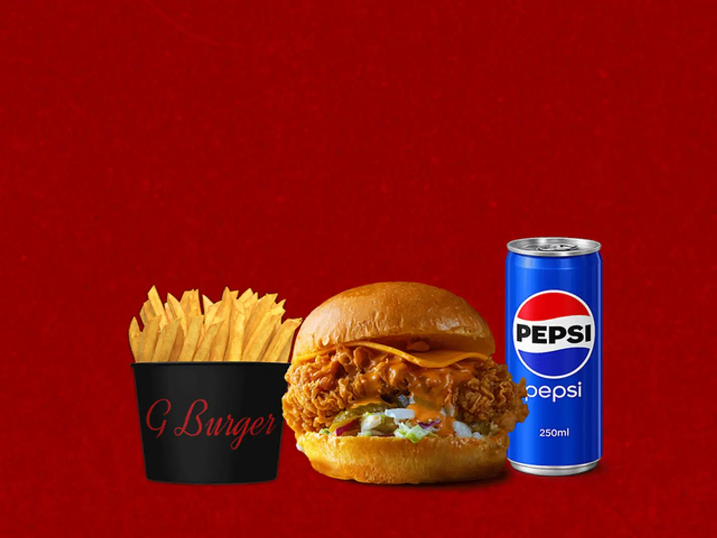 Chicken Burger Combo