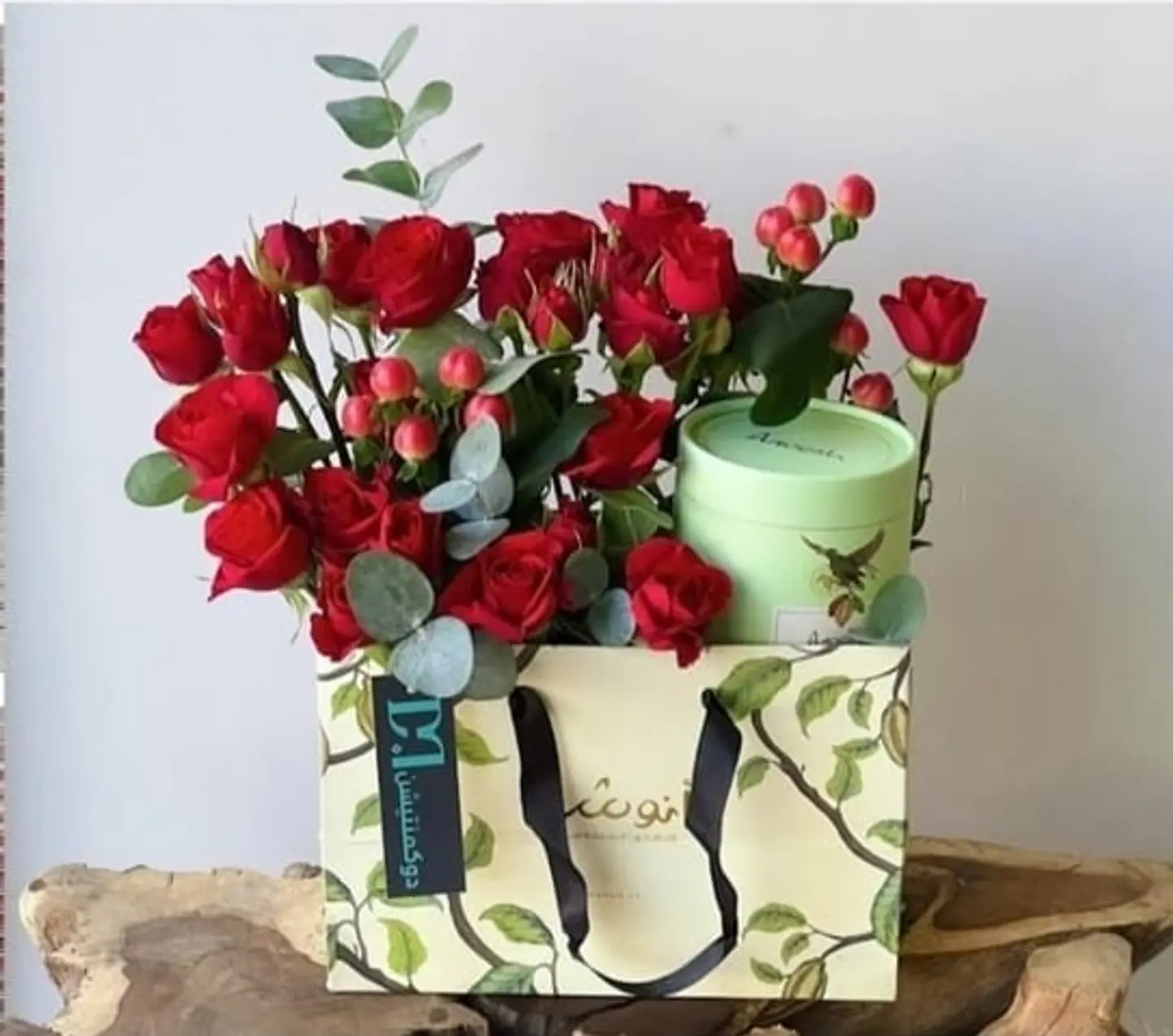 كيس انوش الانيق