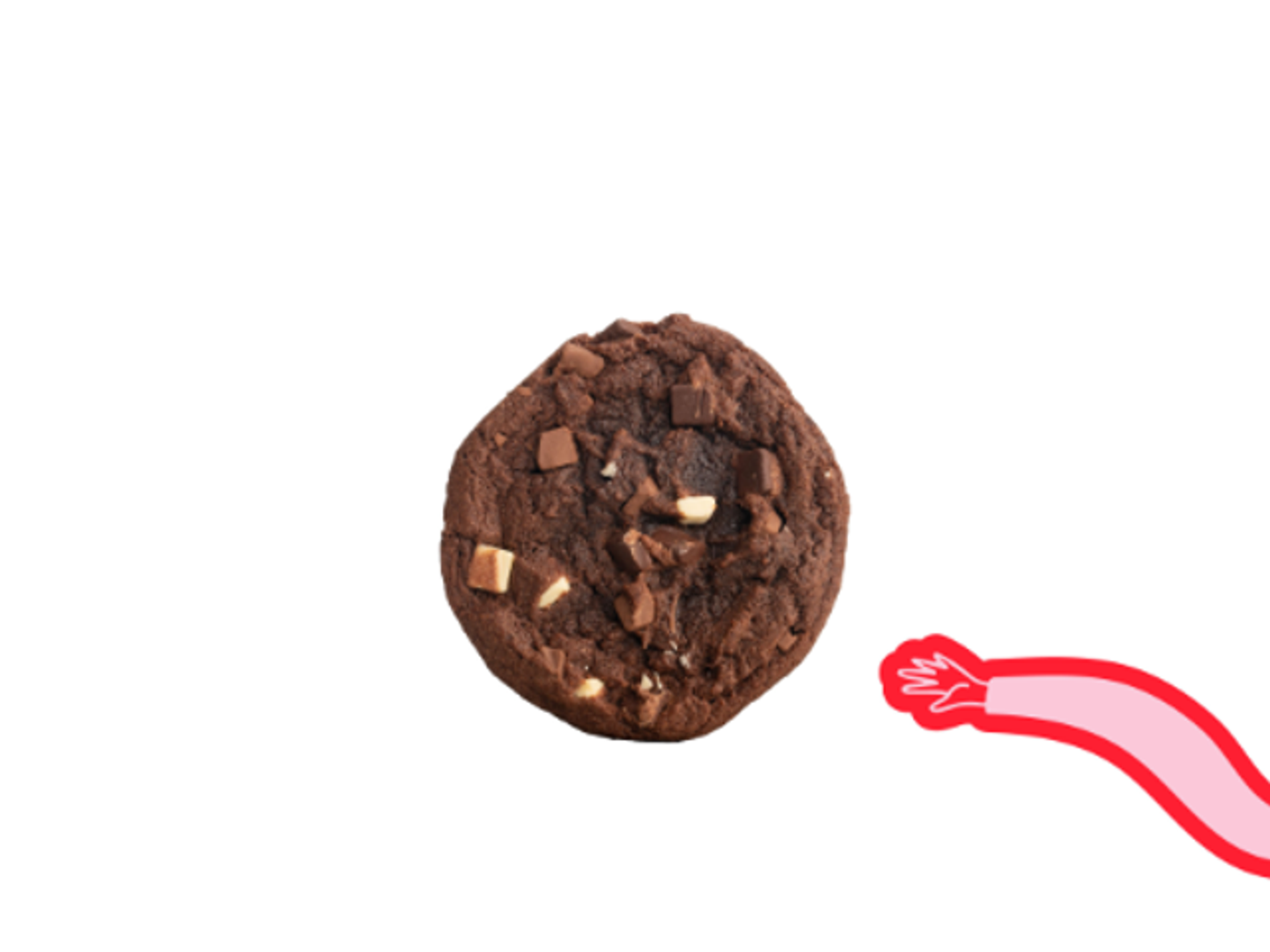 Chocolate Cookies