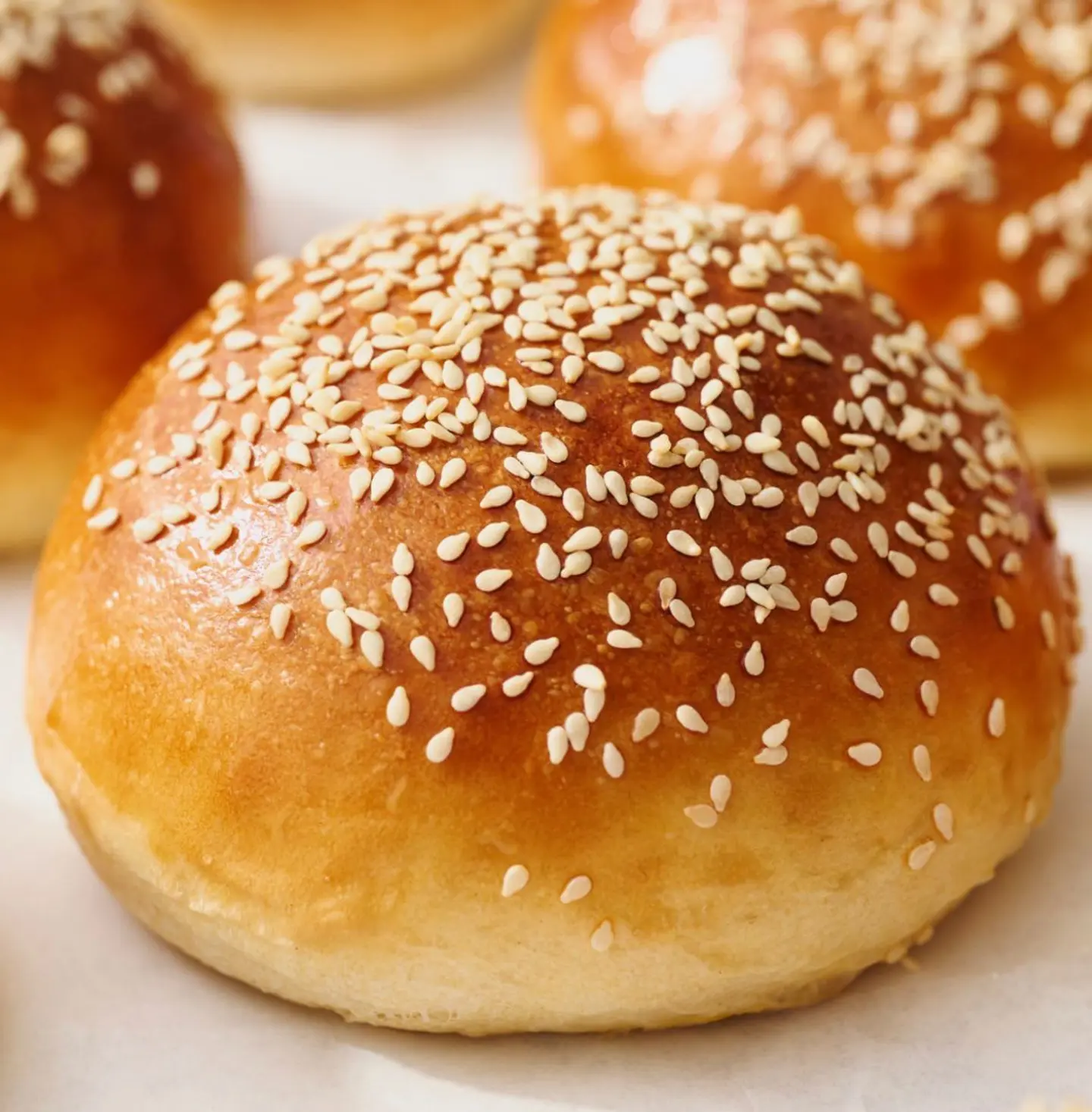 خبز برغر نباتي