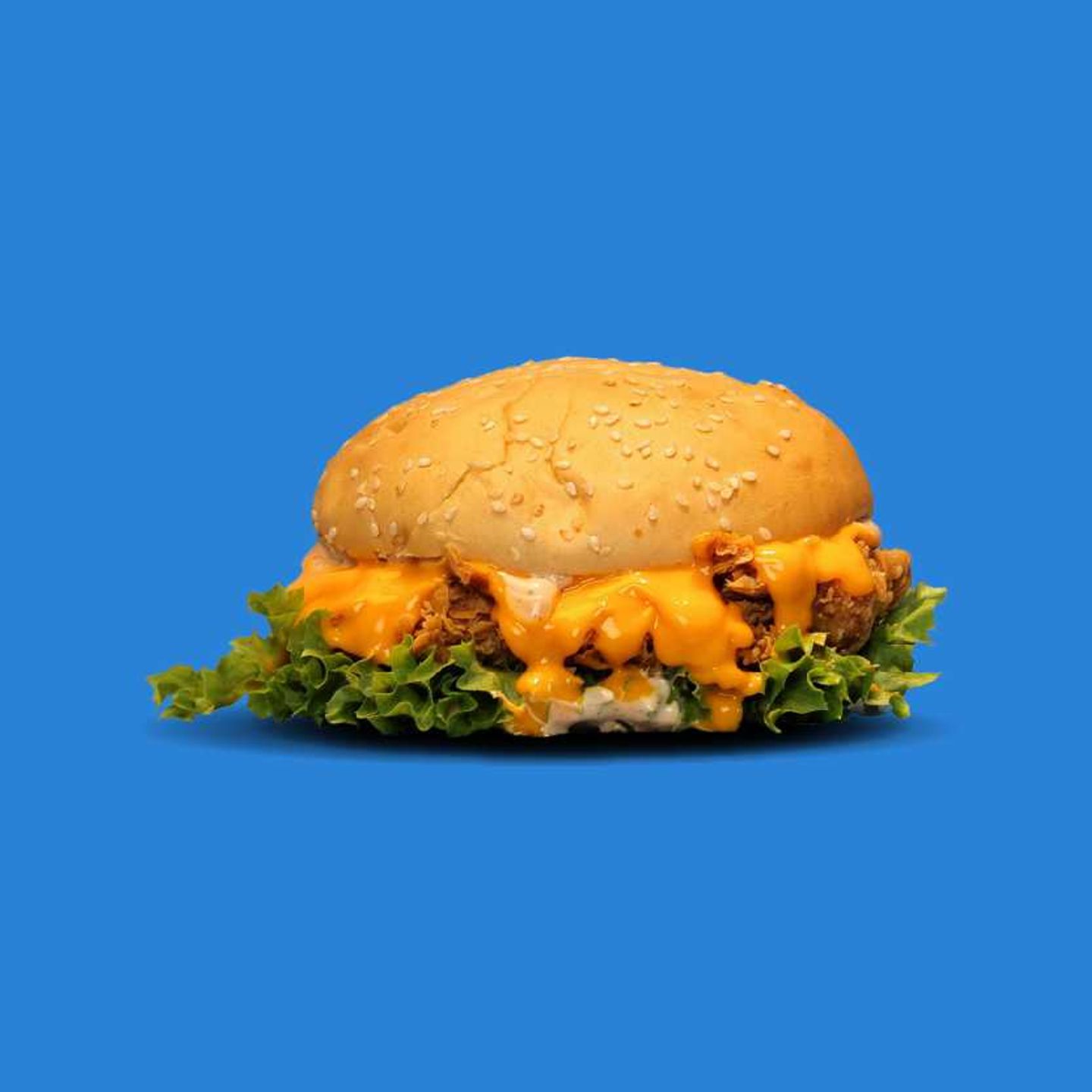 Crispy Chicken Burger