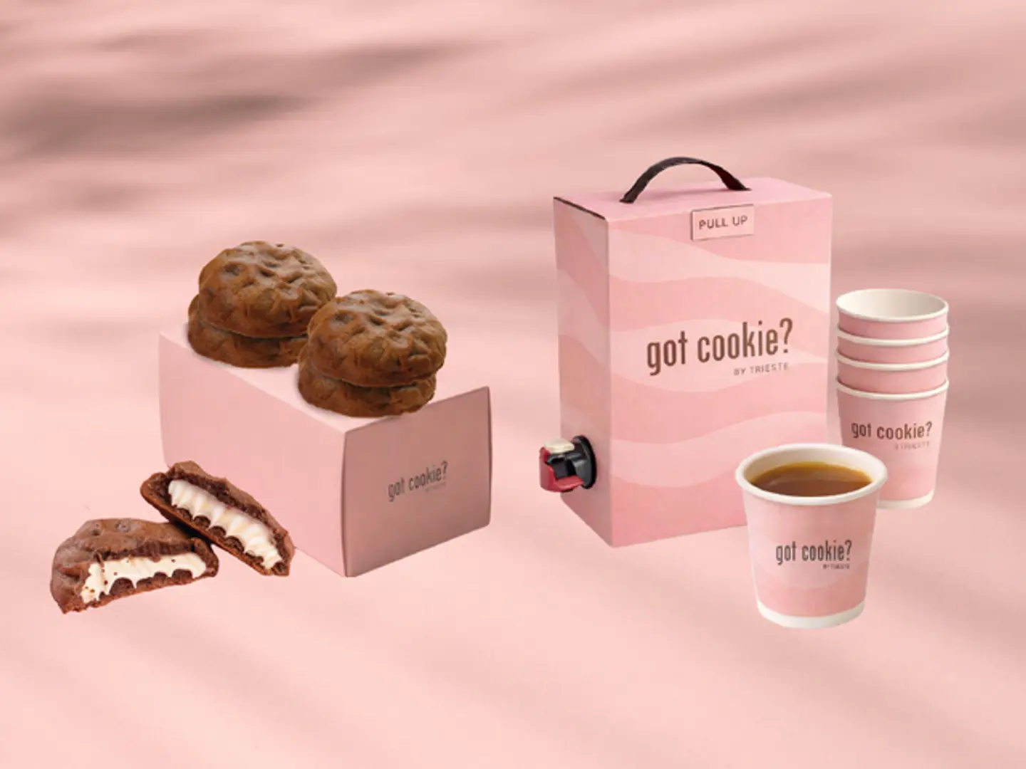 بوكس كوكيز كندر سيجنتشر ٥ قطع مع بوكس قهوة سعودية