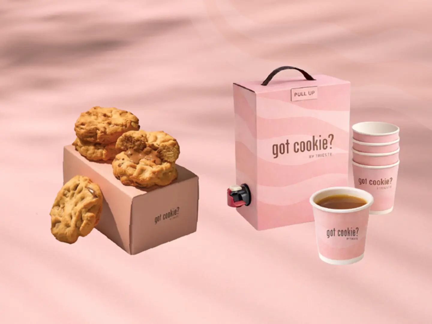 ٥ قطع كوكيز مع بوكس قهوة سعودية