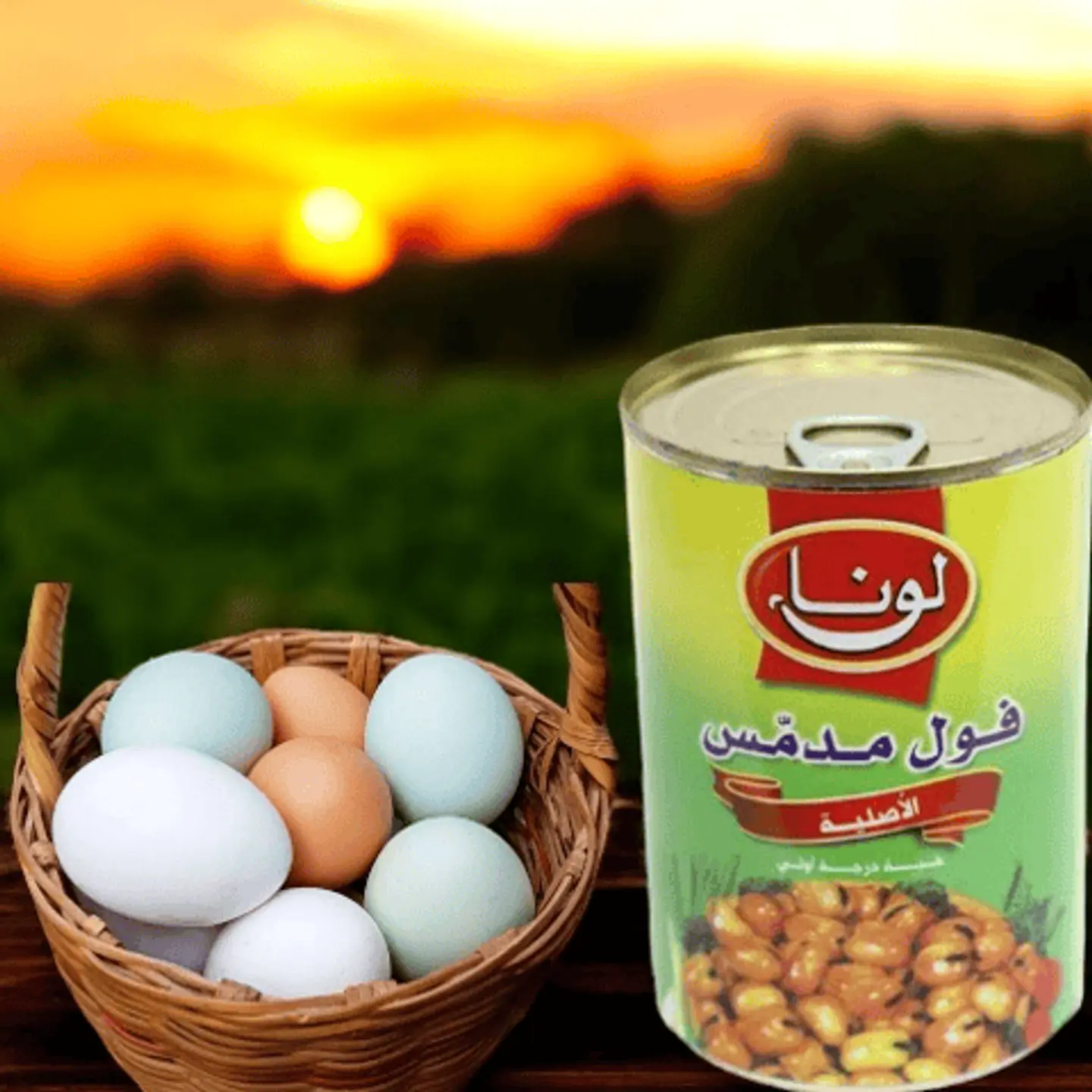 علبة فول بالبيض