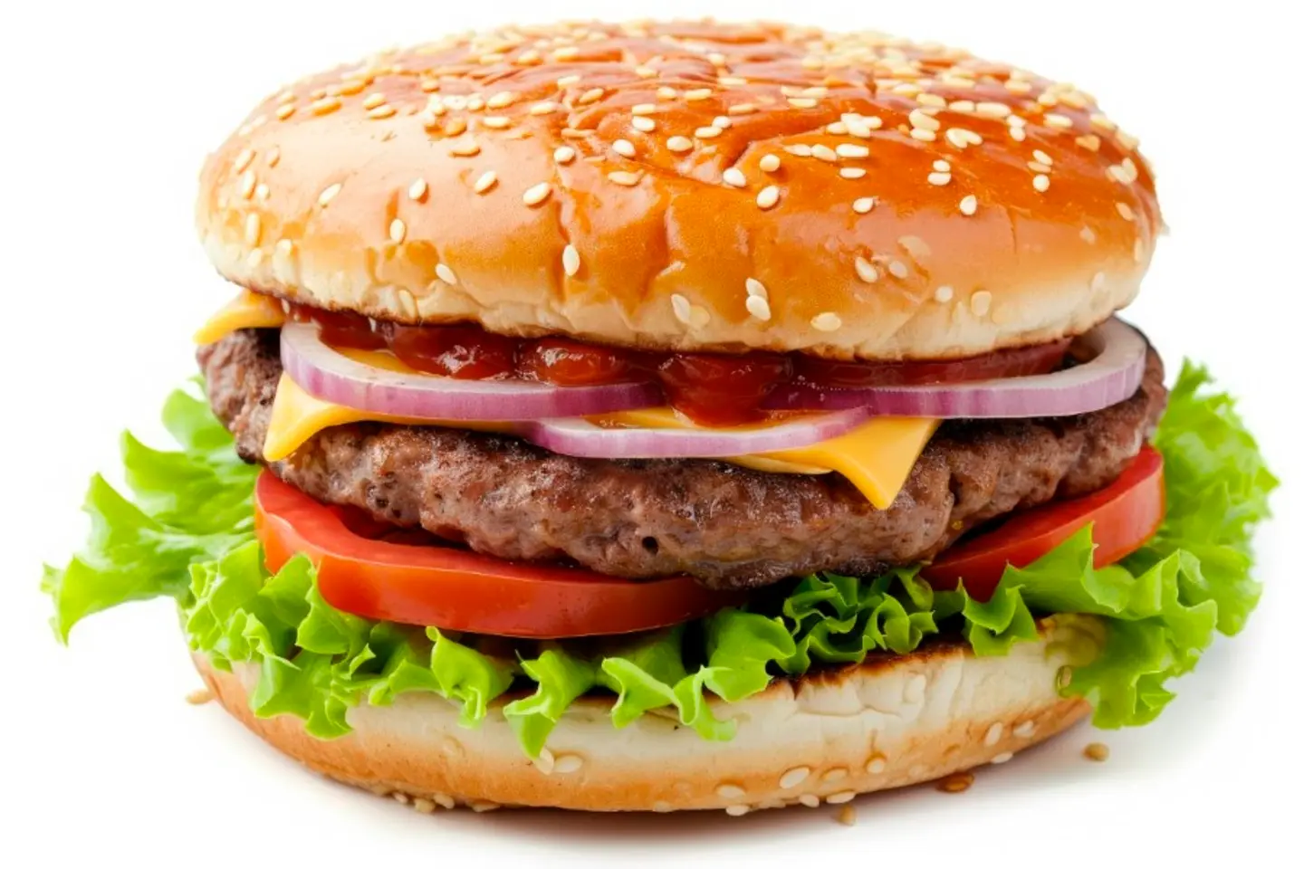 Grilled Beef Burger Sandwich