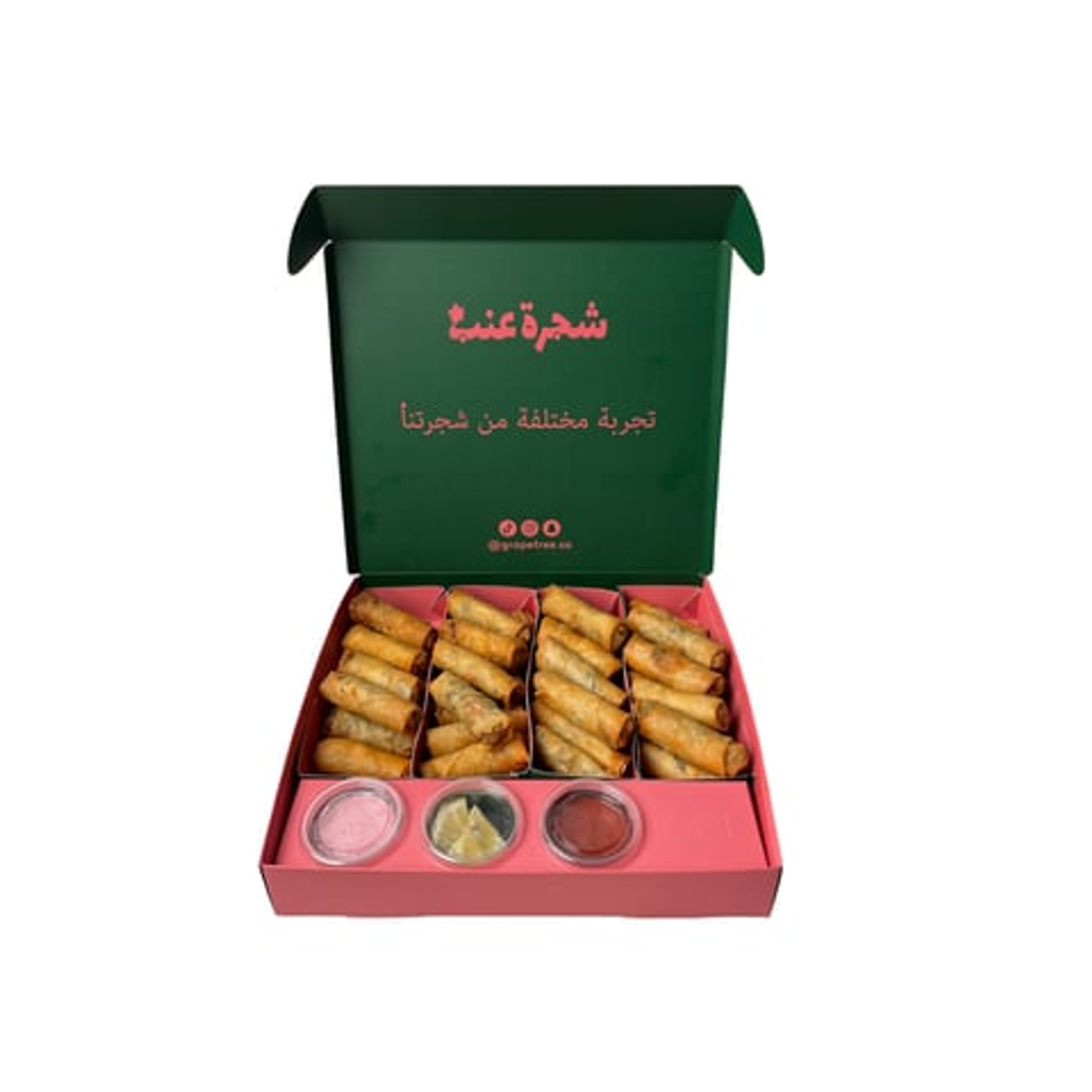 سبرينق رول خضار