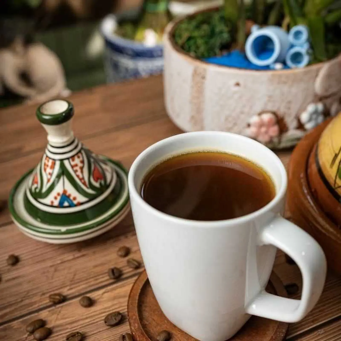 امريكان