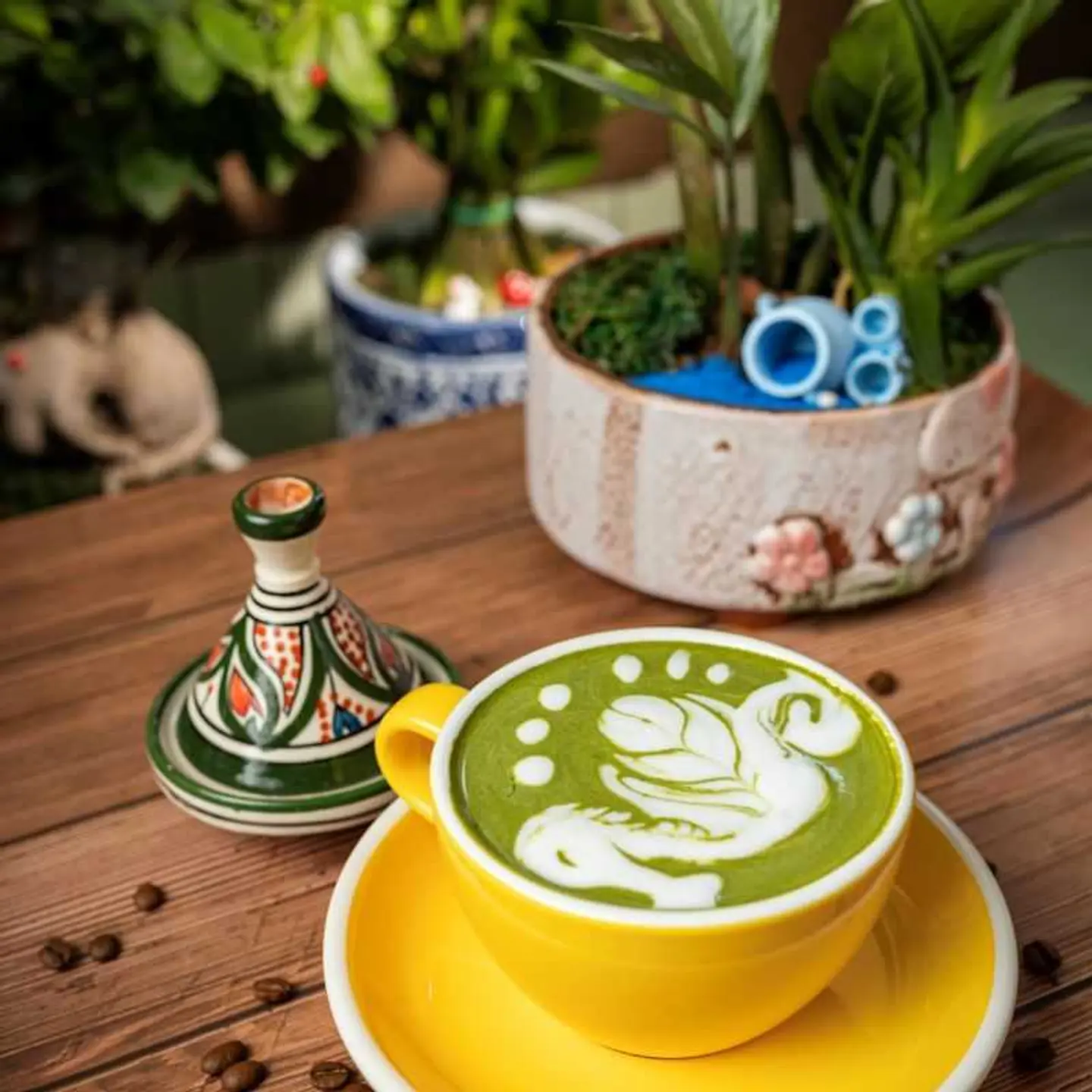 ماتشا حارة لاتيه