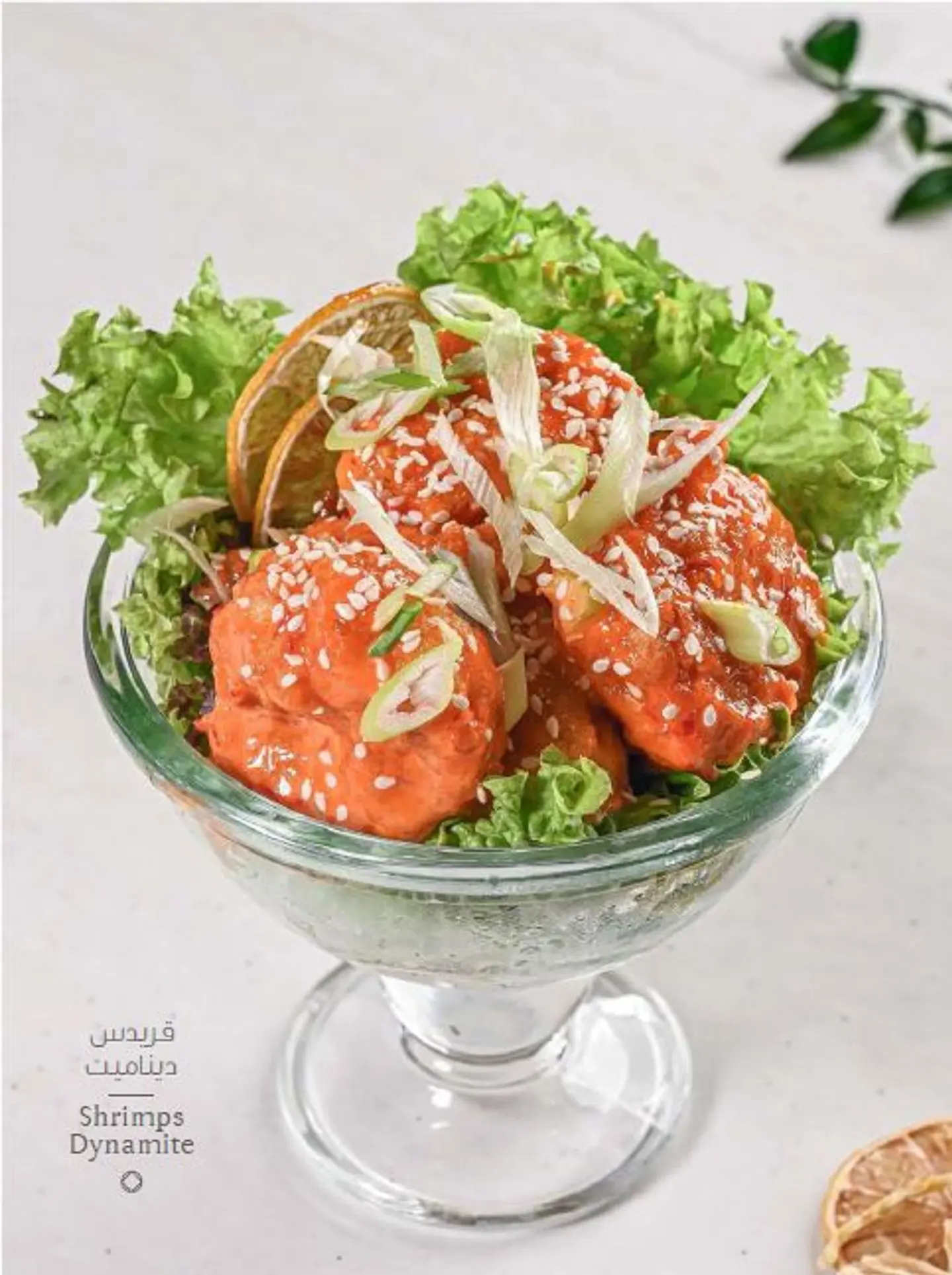Shrimps Dynamite