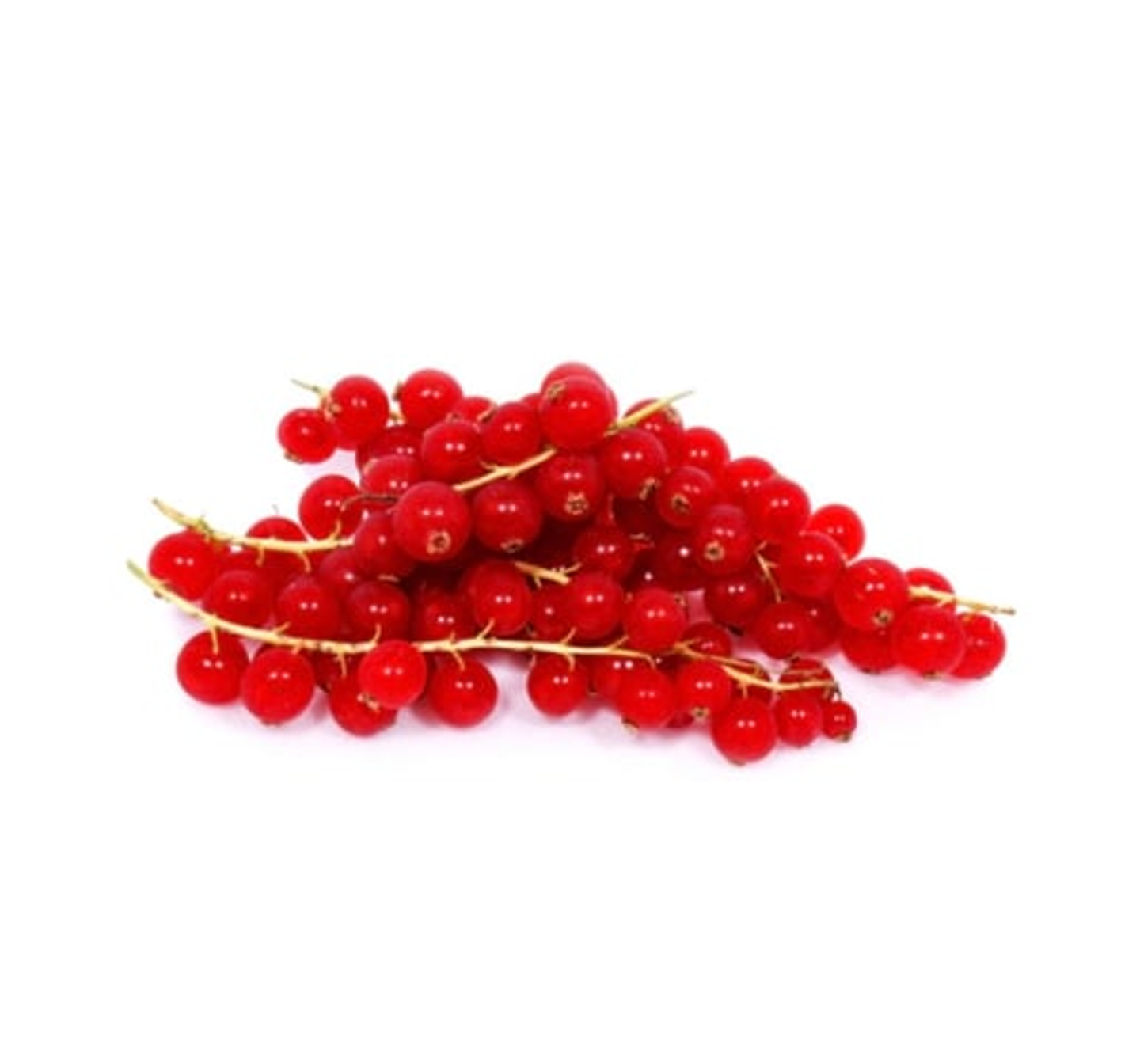 Imported Red Currants – Pack