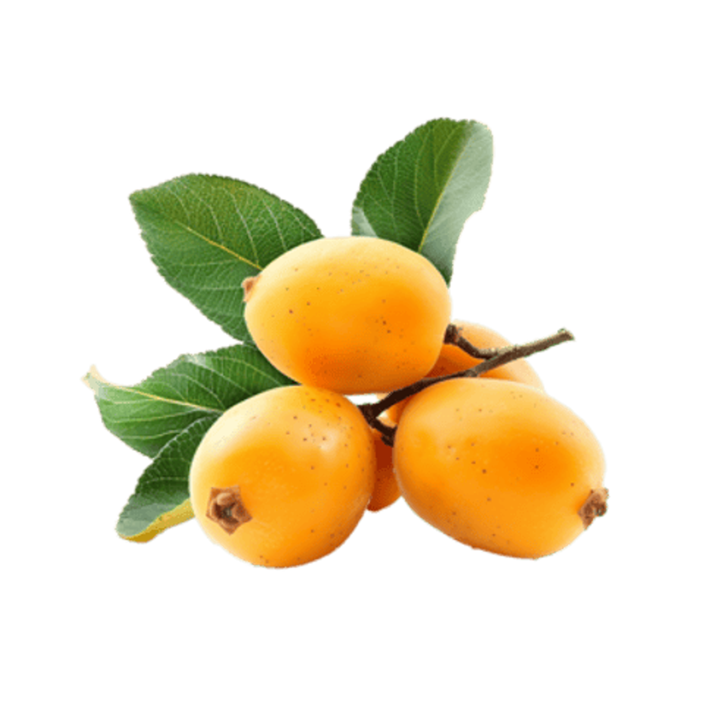 Loquat Fruit Plate
