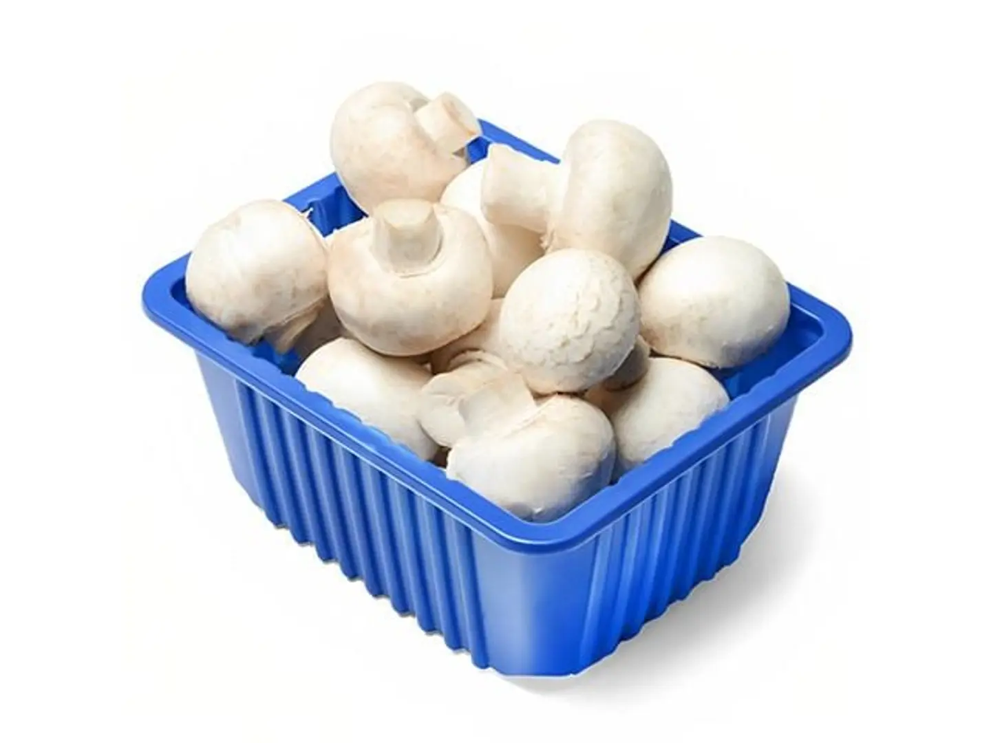 Fresh Mushrooms Box