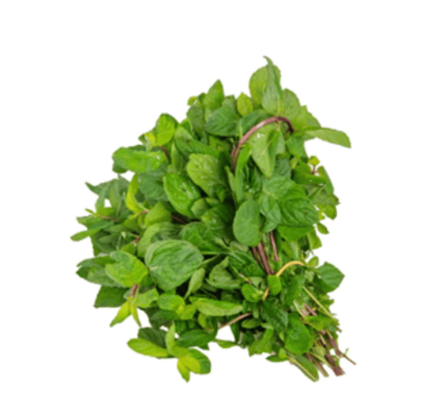 Mint 1 Bundle