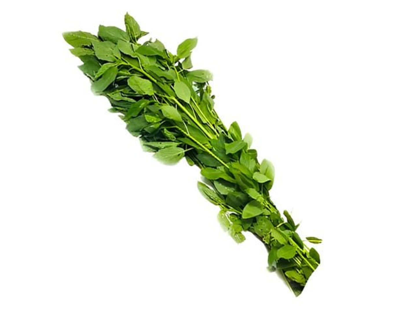 Molokhia 1 Bundle