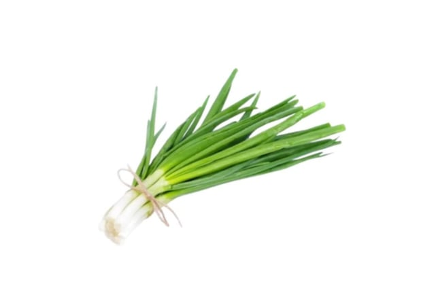 Green Onions 1 Bundle