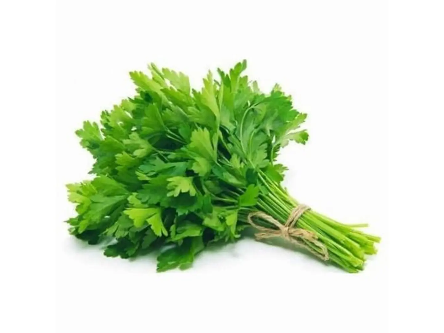 Parsley 1 Bundle