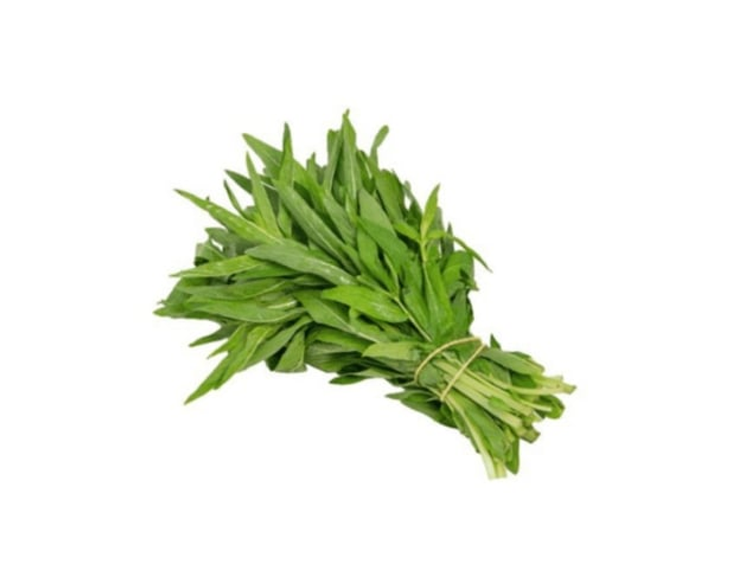 حبق (حزمة)