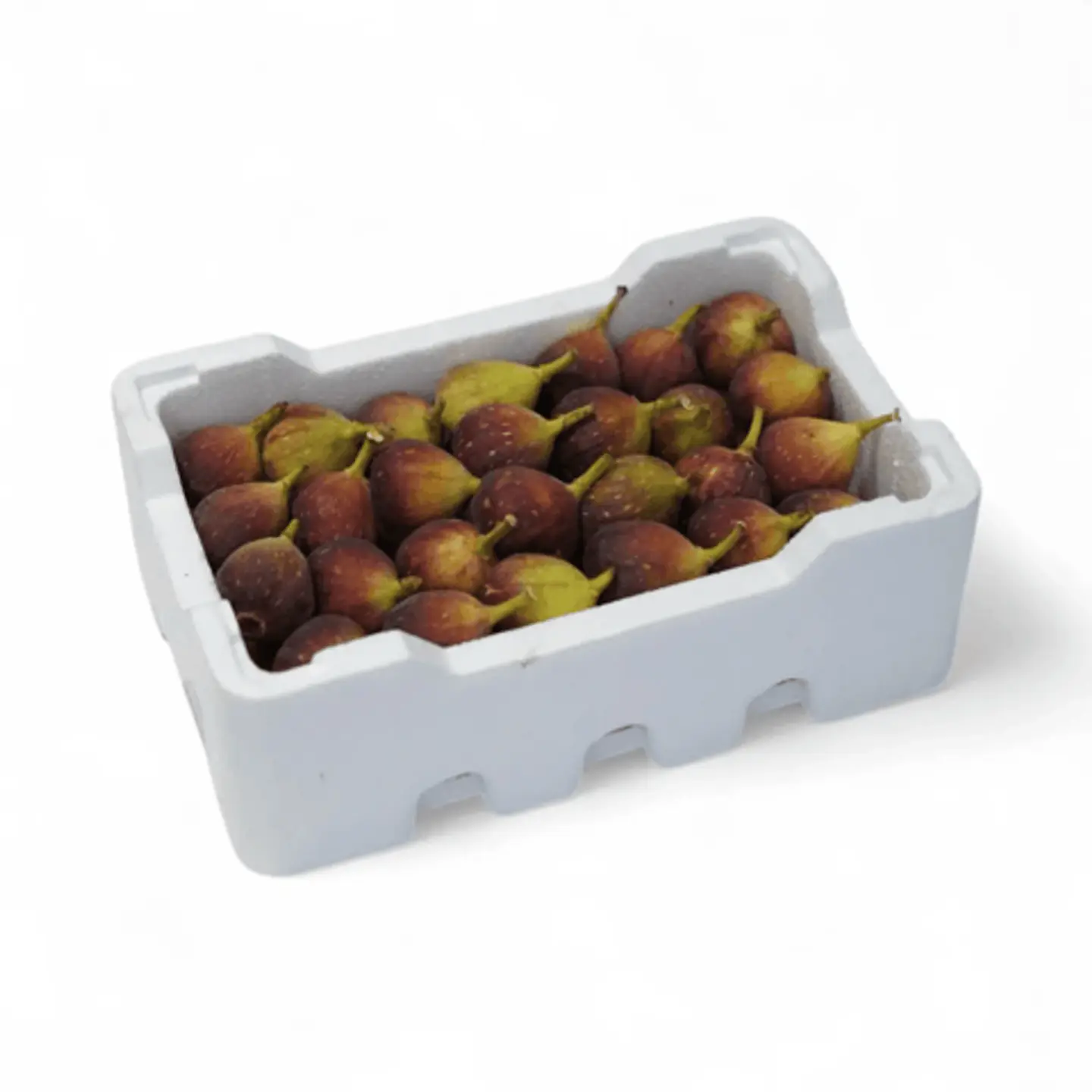 Box Local Fig