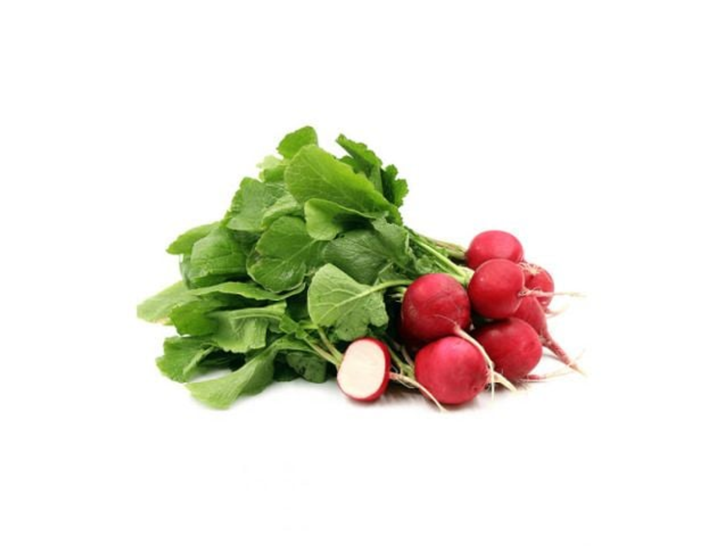 Red Radish 1 Bundle