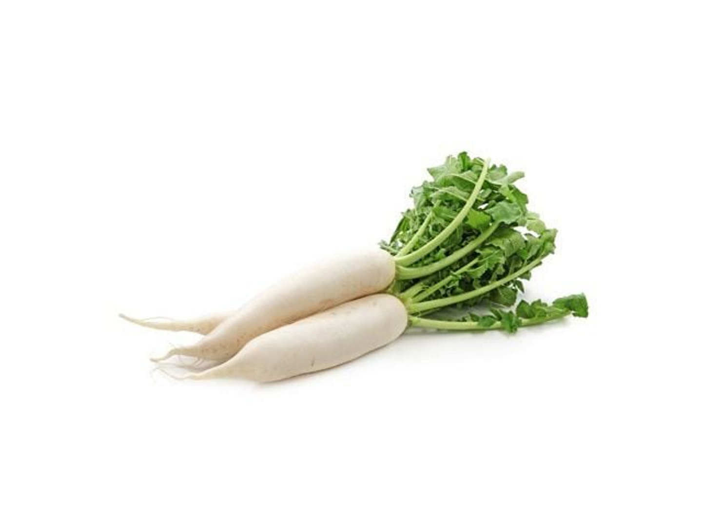 White Radish 1 Bundle