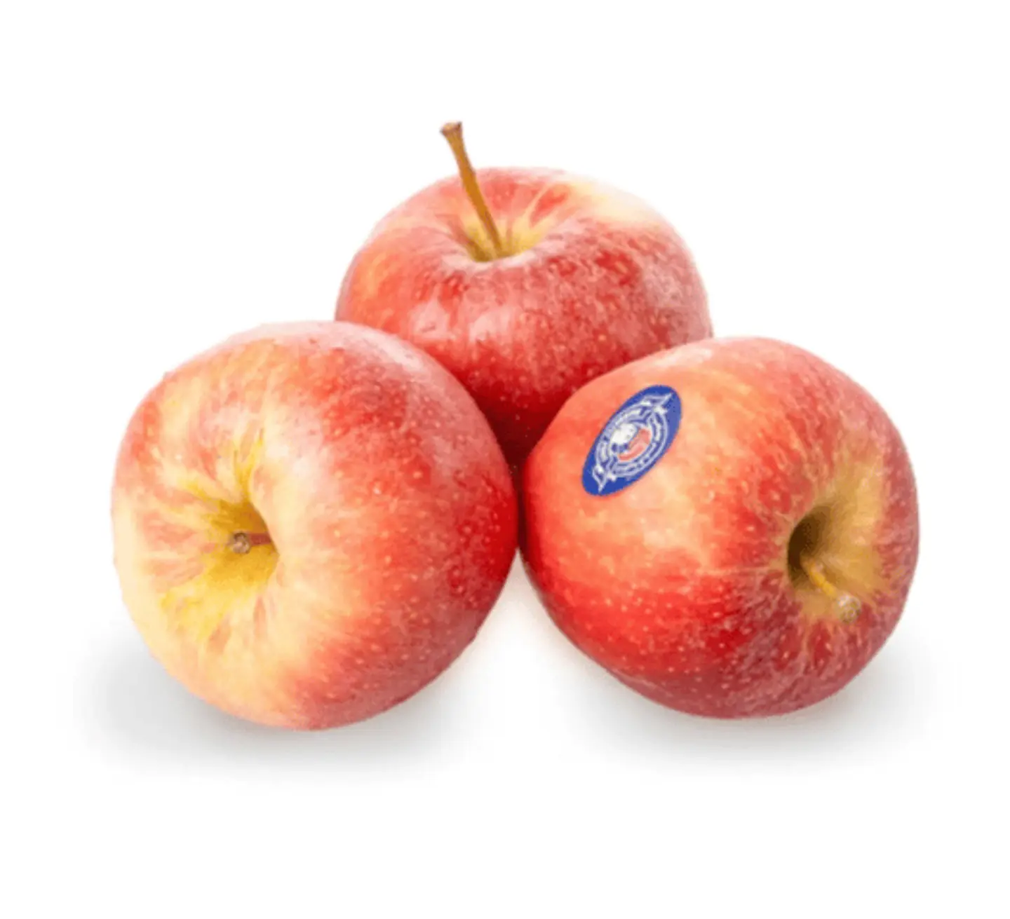 Royal Gala Apple
