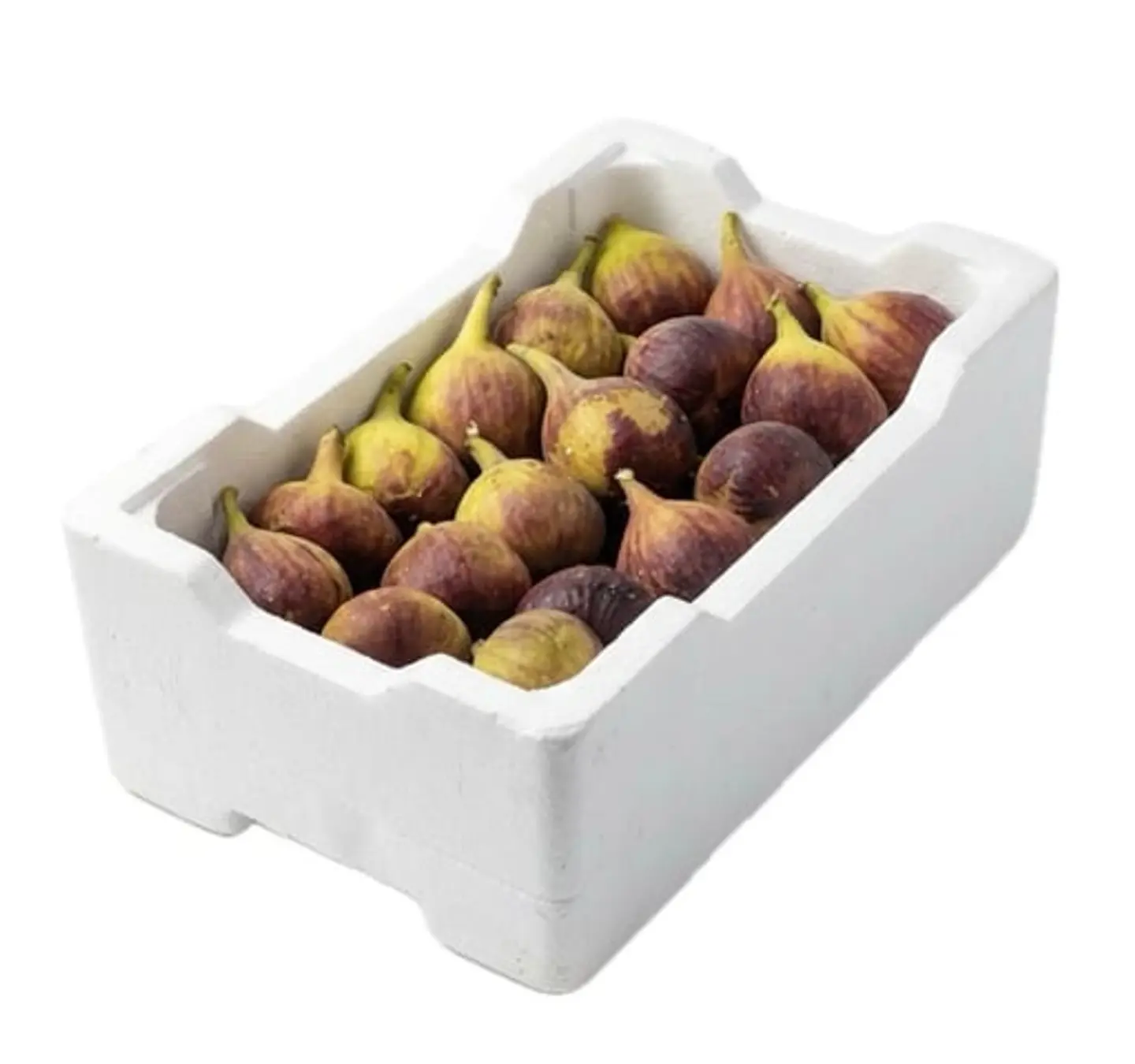 Box Local Fig