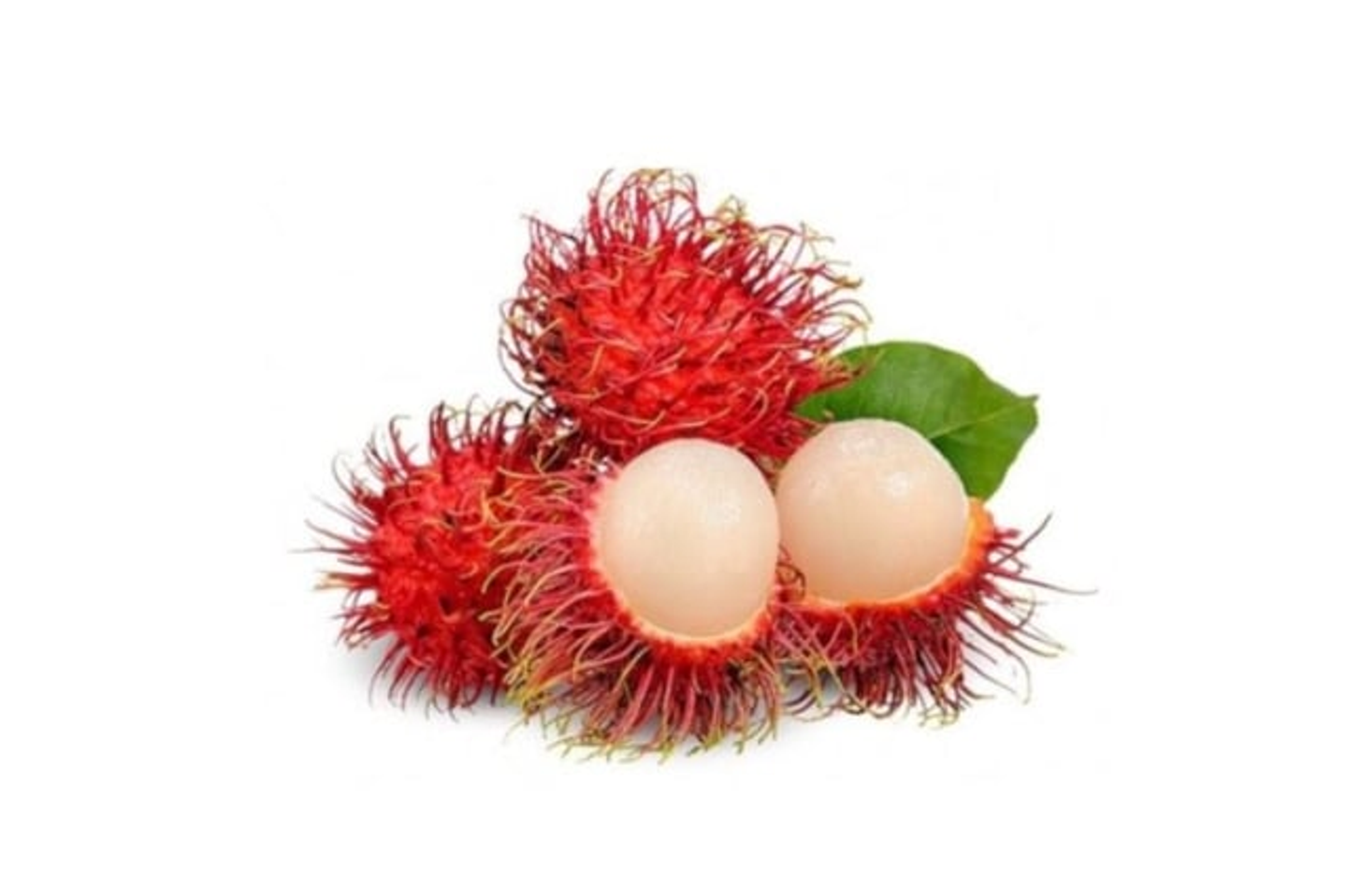 Imported Thai Rambutan 490g
