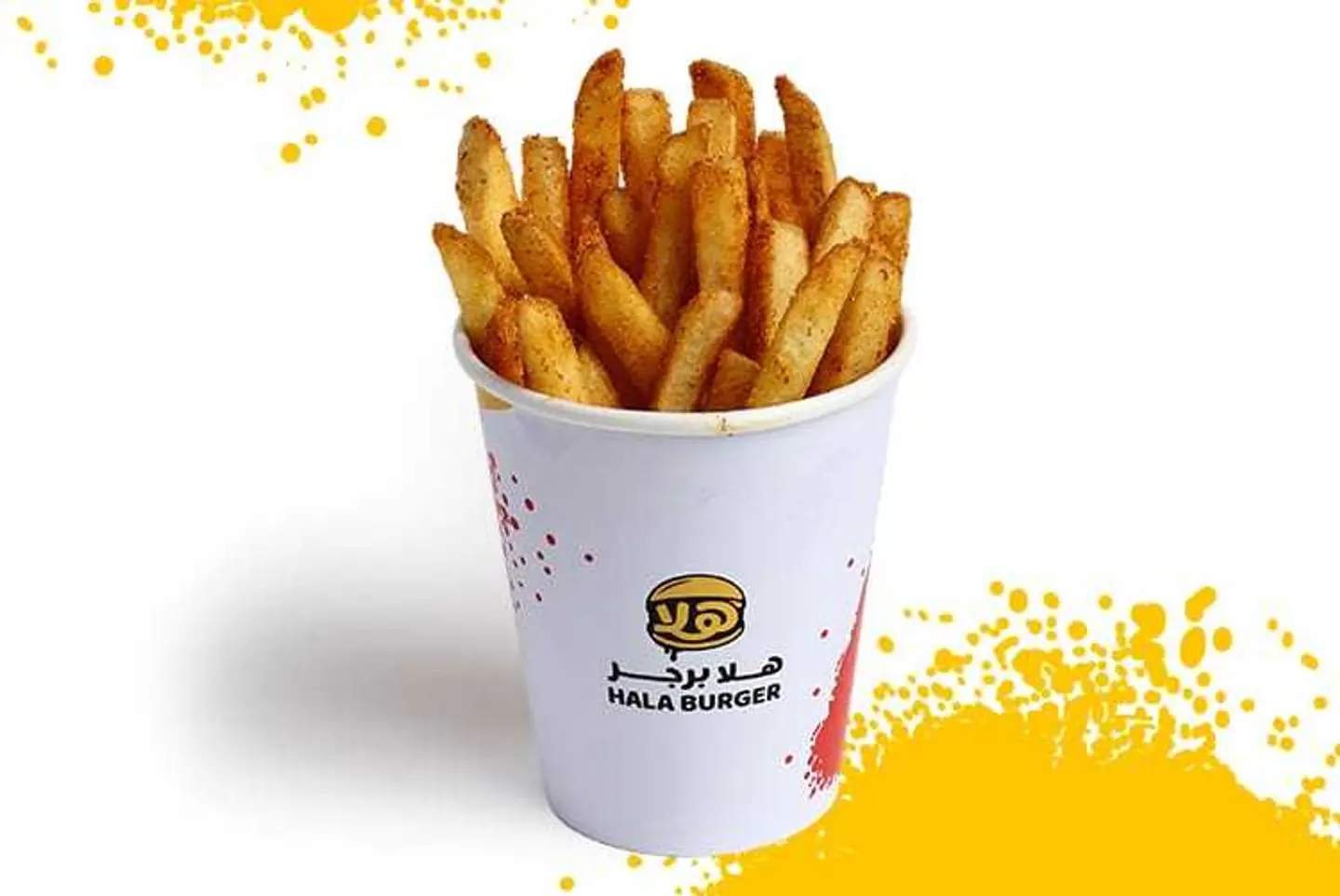 Spiced Fries