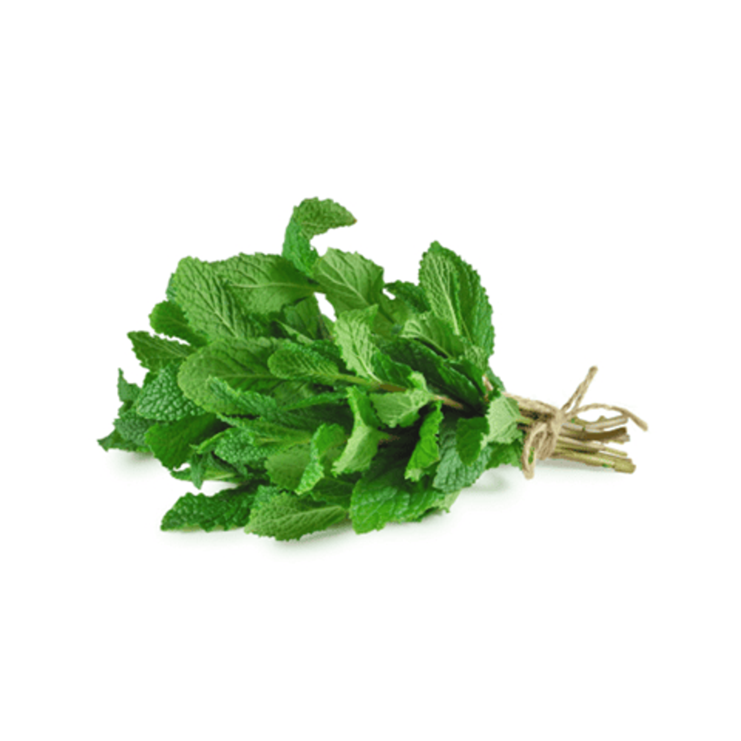 نعناع حزمة