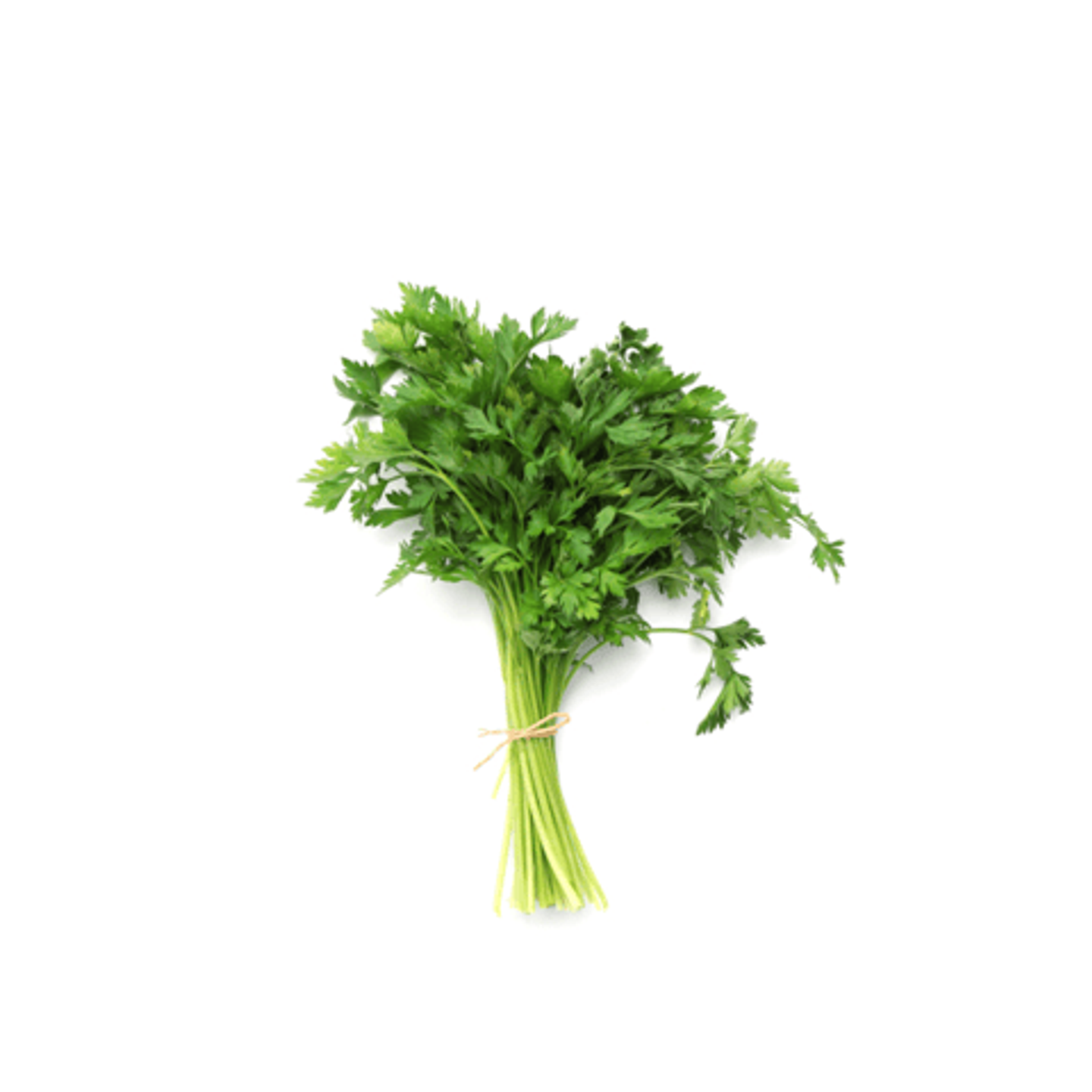 بقدونس حزمة