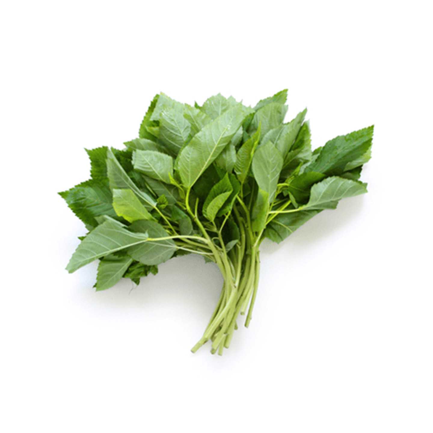 ملوخية حزمة