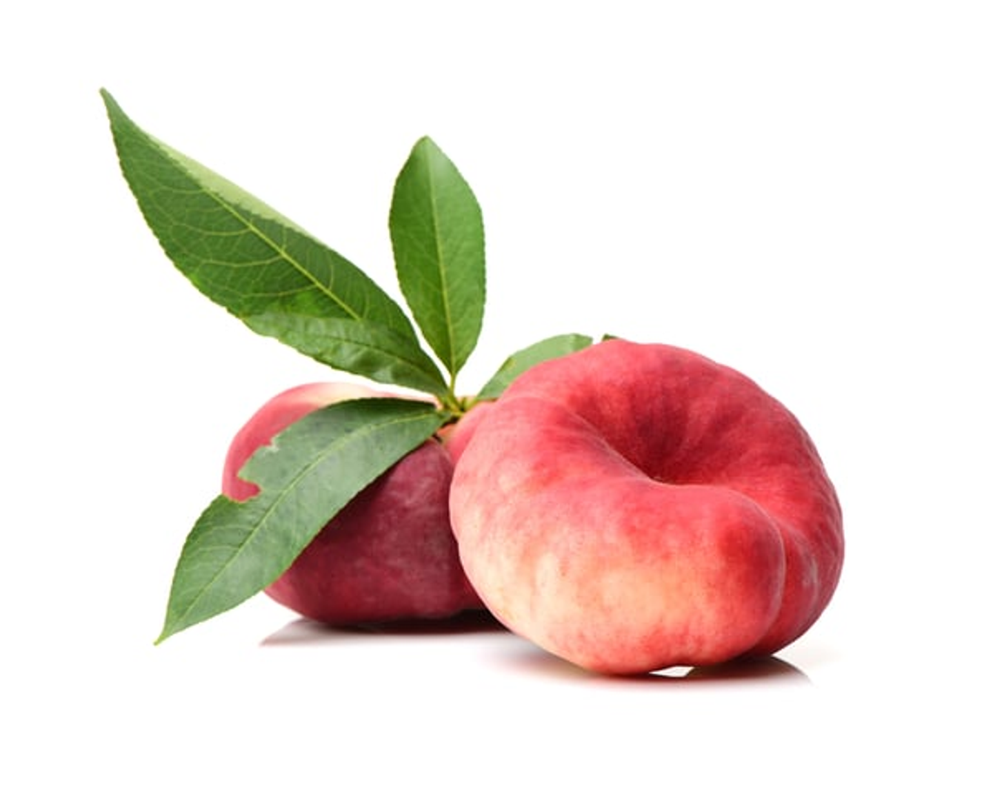 كعب الغزال علبة