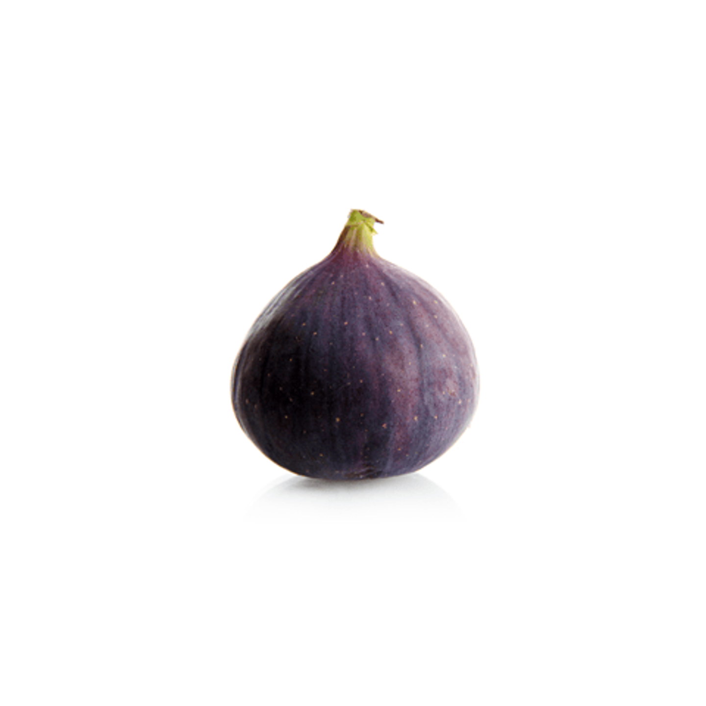 تين صندوق