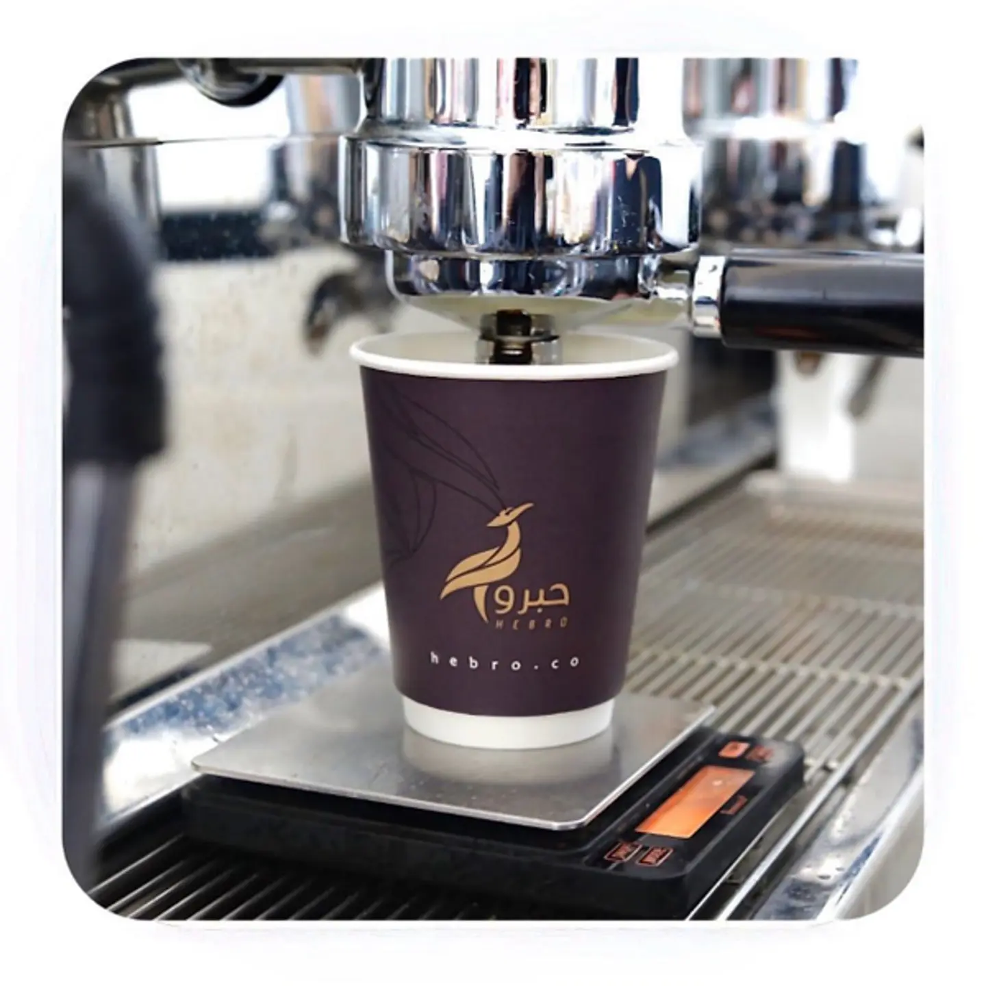 Americano