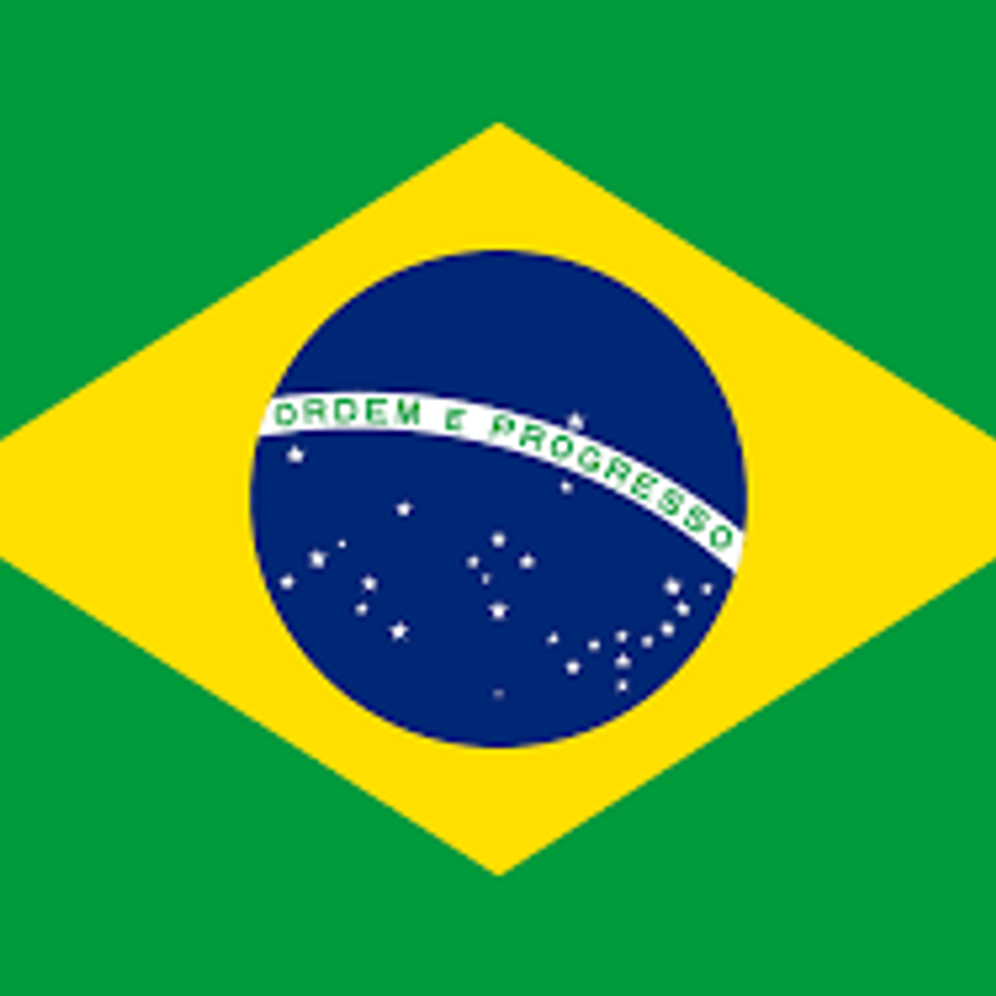 Brazil Beans 250g